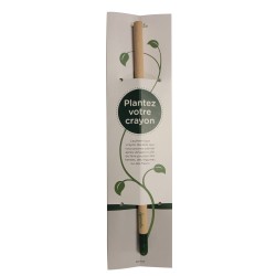 CRAYON A PLANTER