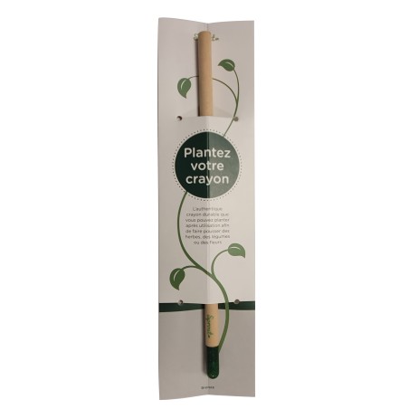 CRAYON A PLANTER