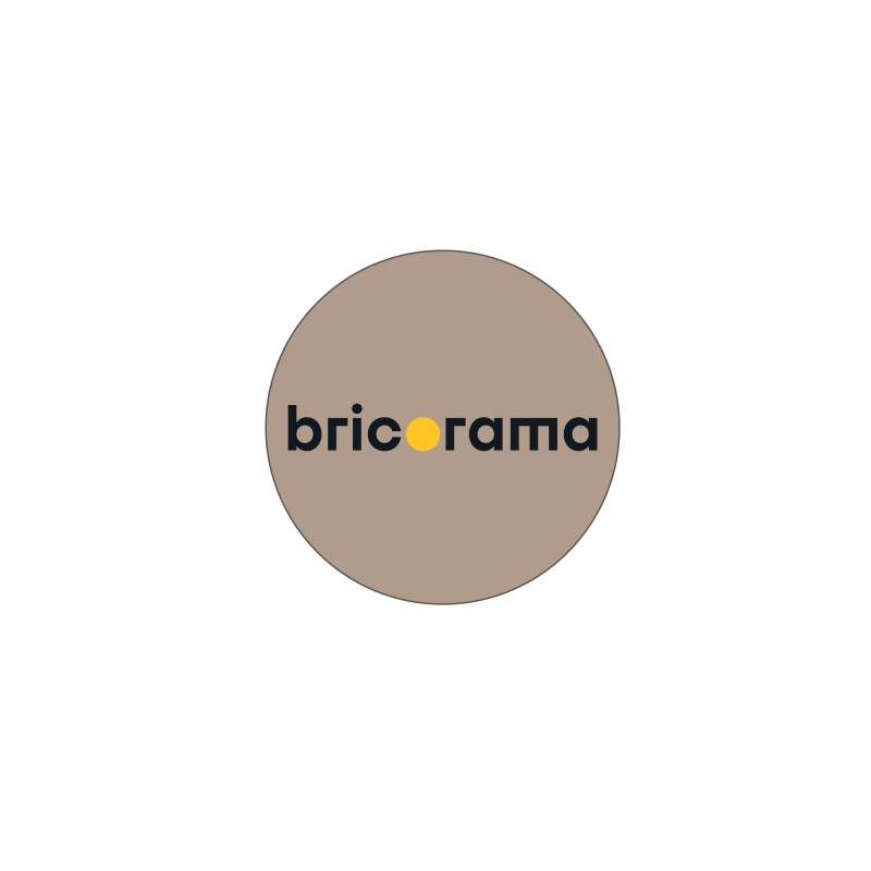 JETONS CADDIE BRICORAMA