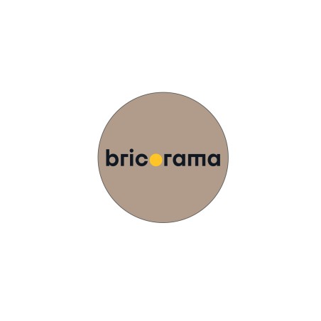 JETONS CADDIE BRICORAMA